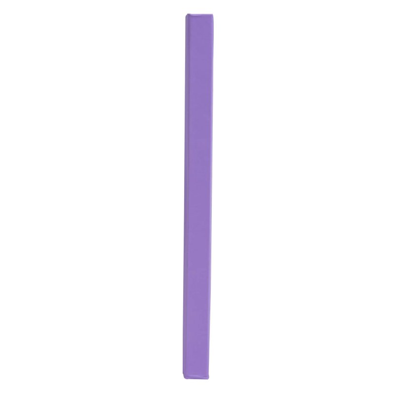 EXACOMPTA Livre d'or Plum, 210 x 190 mm, violet / doré
