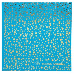 EXACOMPTA Album photos Plum, 250 x 250 mm, turquoise/doré