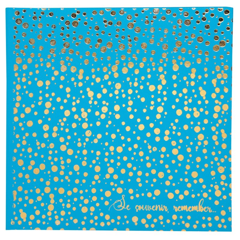 EXACOMPTA Album photos Plum, 250 x 250 mm, turquoise/doré