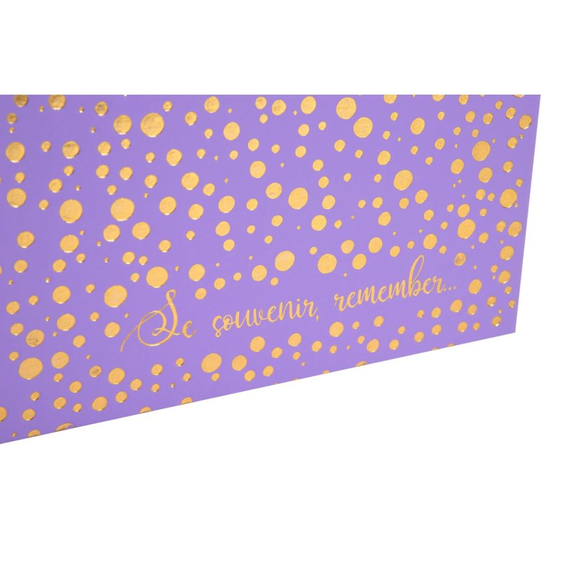 EXACOMPTA Album photos Plum, 250 x 250 mm, violet/doré