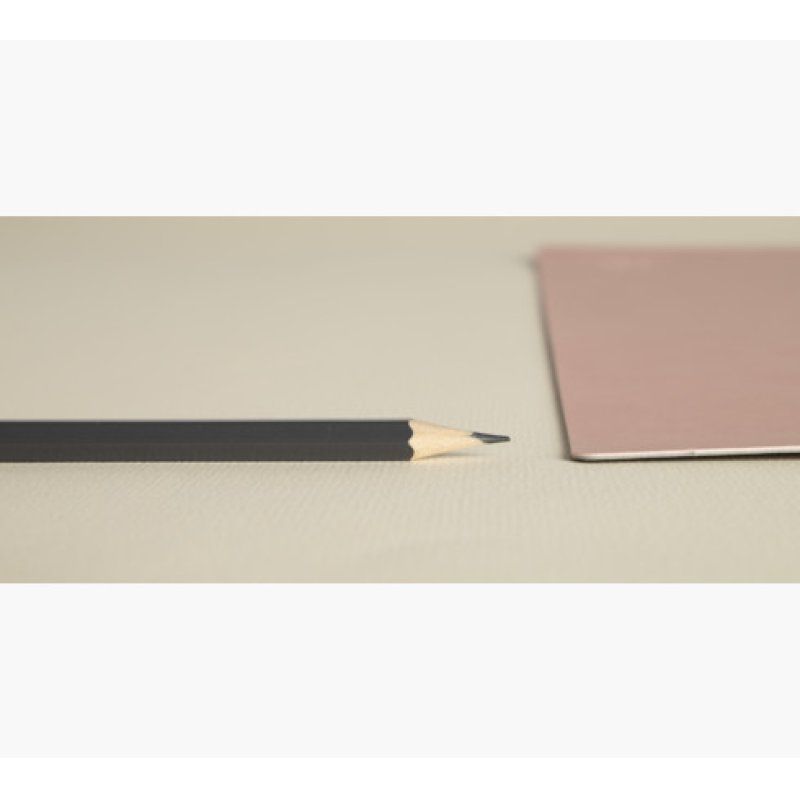 Exacompta 29143E desk pad Faux leather, Polyurethane (PU) Grey, Rose gold