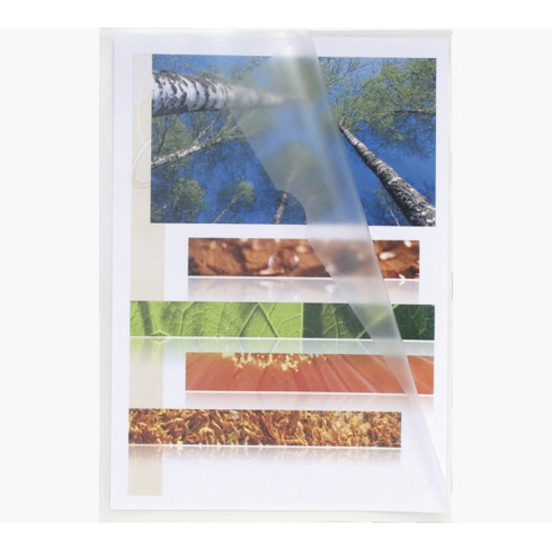 Exacompta 58500E sheet protector 210 x 297 mm (A4) Polypropylene (PP) 100 pc(s)