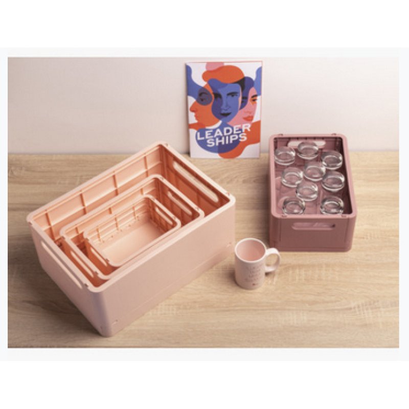 EXACOMPTA Boîte de rangement Smart Case Maxi, nude