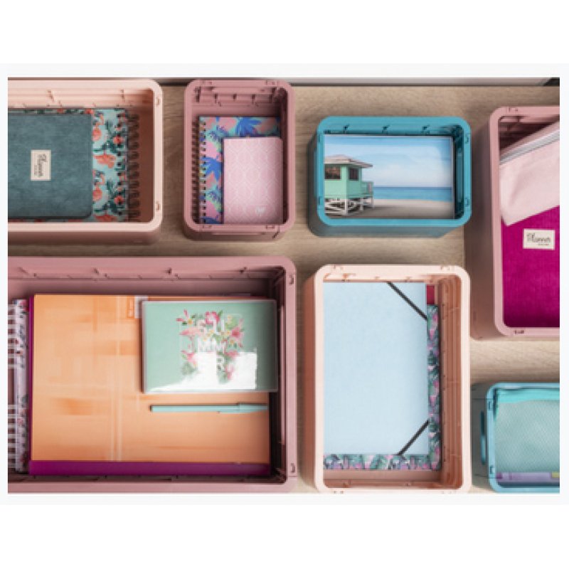 EXACOMPTA Boîte de rangement Smart Case Maxi, vieux rose