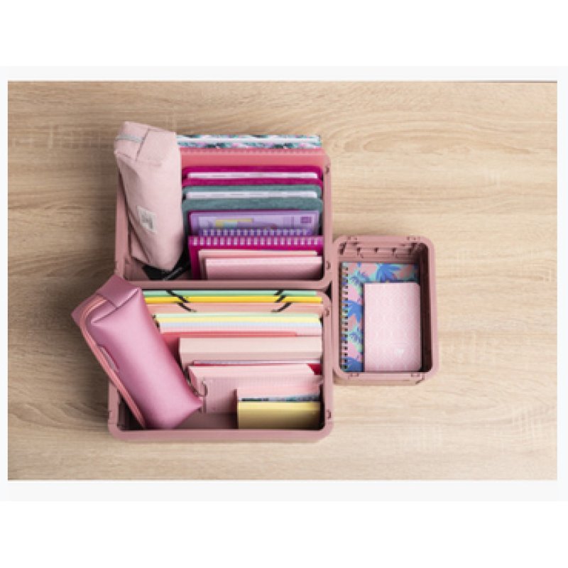 Exacompta Boîte pliable the smart case maxi skandi - vieux rose - nouveauté