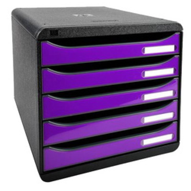 EXACOMPTA Schubladenbox BIG-BOX PLUS, 5 Schübe, grau