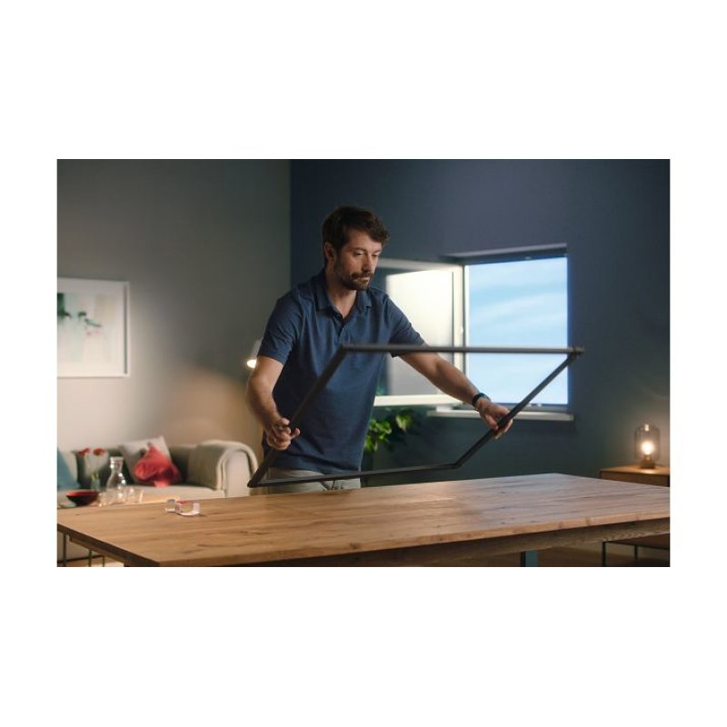 tesa Moustiquaire pour fenêtre ALU FALT, anthracite