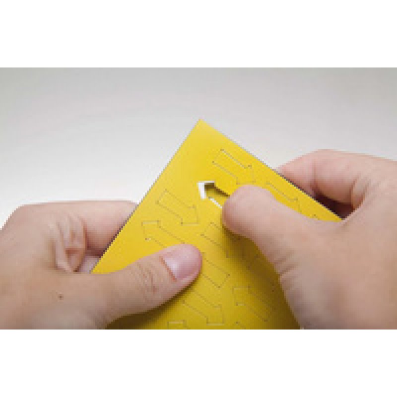 MAUL Symbole magnétique flèche, 20 x 10 mm, vert