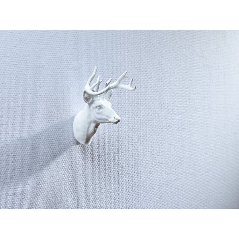 tesa Powerstrips Clou adhésif pour papier peint et plâtre