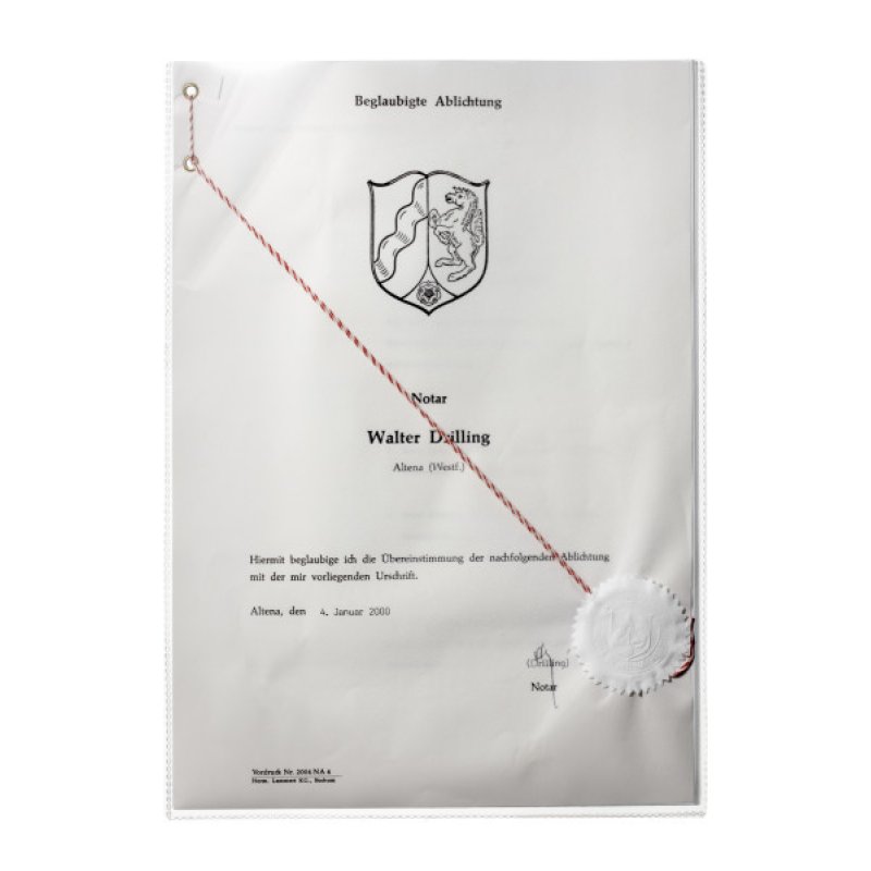 Durable 213119 protecteur de feuilles 210 x 297 mm (A4) Polypropylène (PP) 1 pièce(s)