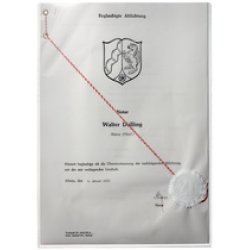 DURABLE Etui de protection, en PP, A8, transparent