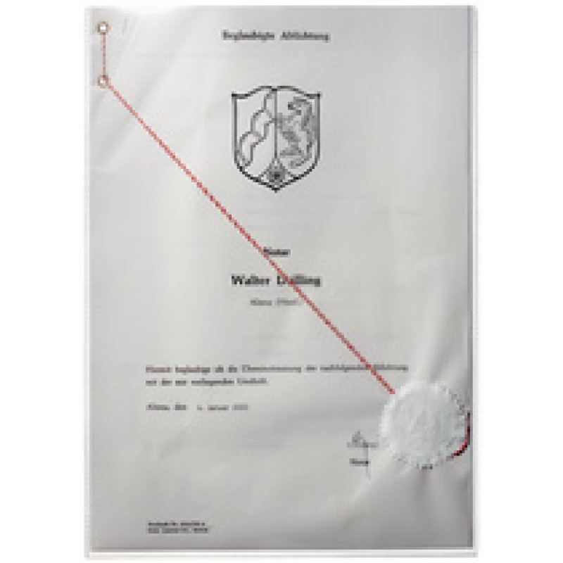 DURABLE Etui de protection, en PP, A8, transparent