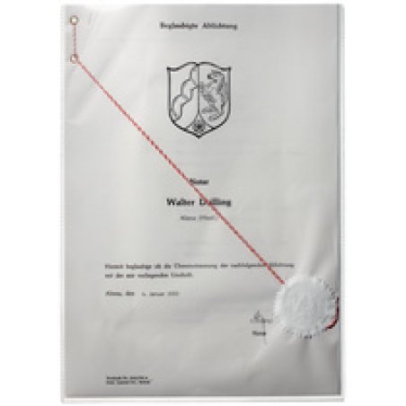 DURABLE Etui de protection, en PP, A8, transparent