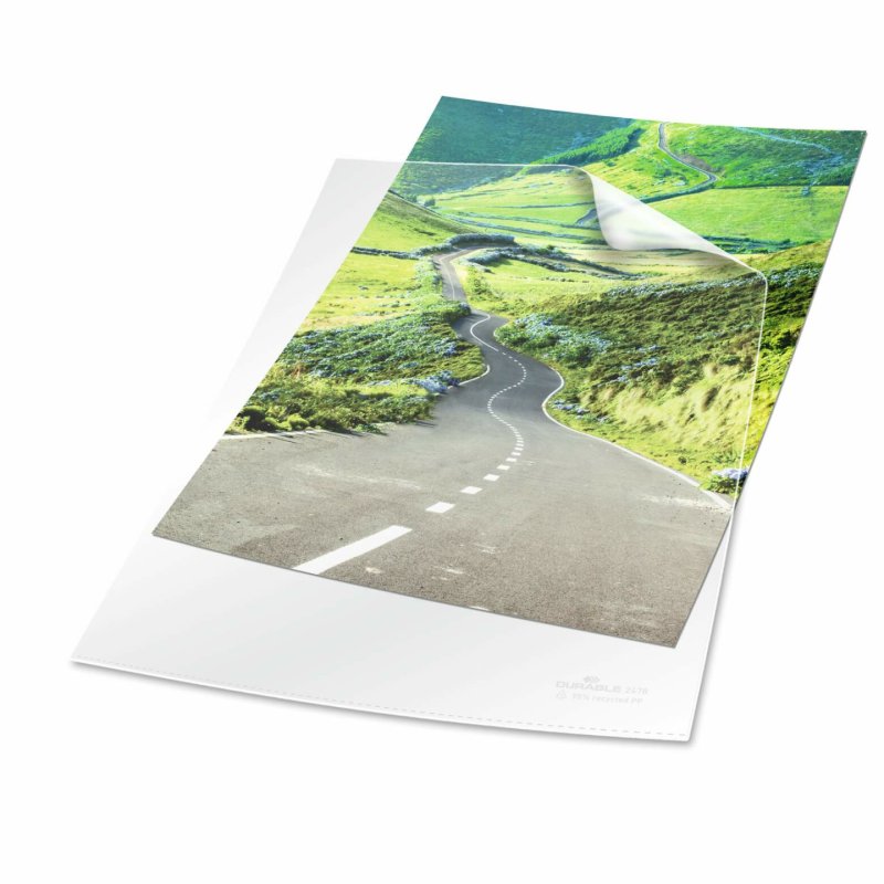 Durable 247819 sheet protector A4 Polypropylene (PP) 100 pc(s)