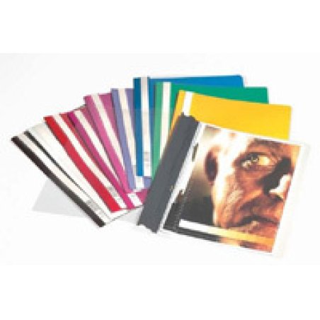 DURABLE Chemise à lamelle, A4, en film rigide, bleu