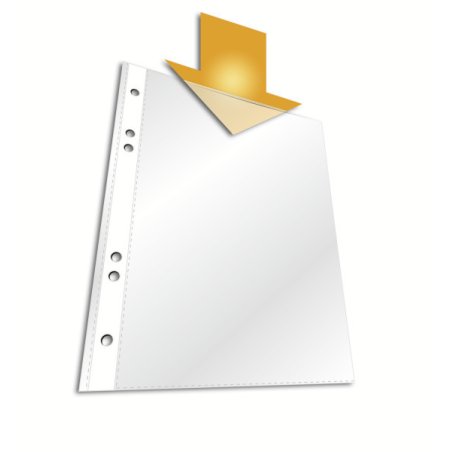 Durable 265219 protecteur de feuilles 210 x 297 mm (A4) Polypropylène (PP) 40 pièce(s)