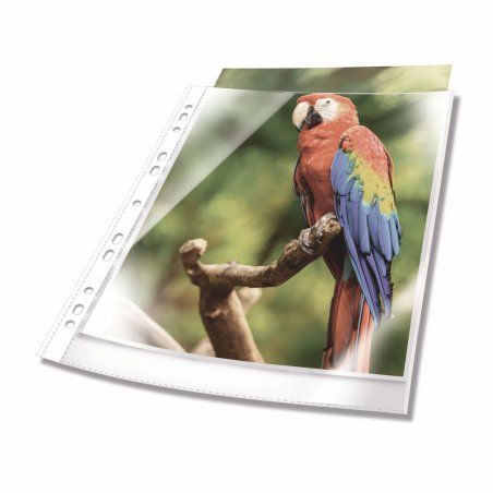 DURABLE Pochette perforée PREMIUM, A4, PP, bord blanc