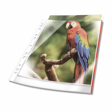 DURABLE Pochette perforée PREMIUM, A4, PP, bord rouge