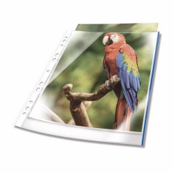 Durable 265506 sheet protector A4 Polypropylene (PP) 25 pc(s)