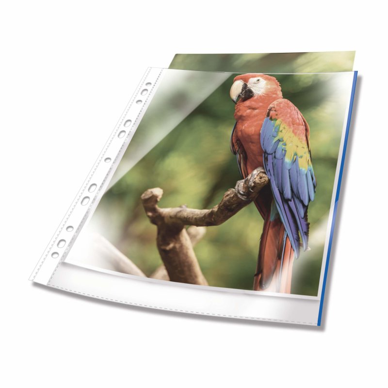 DURABLE Pochette perforée PREMIUM, A4, PP, bord bleu