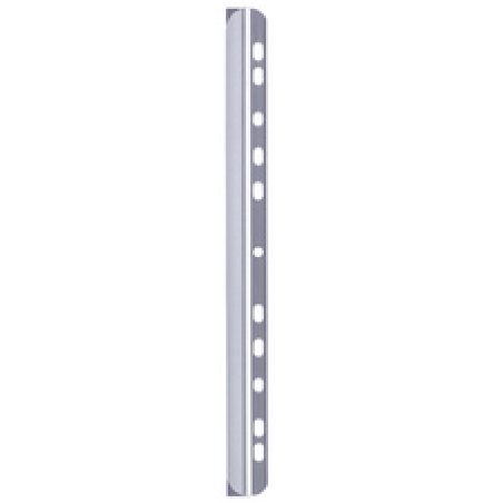 DURABLE Peigne à relier, A4, épaisseur: 6 mm, transparent