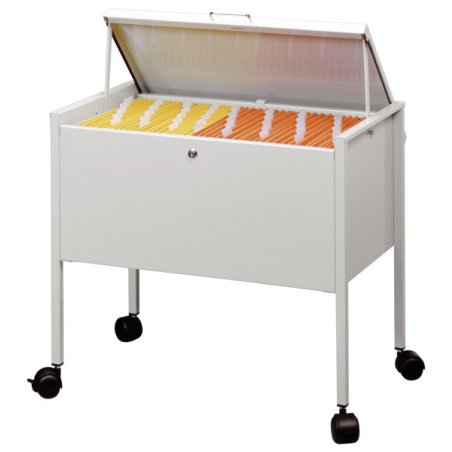 Durable 309810 file storage box Steel Grey