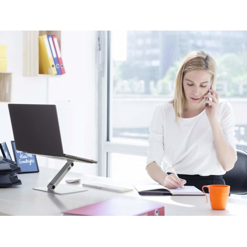 DURABLE Support pour ordinateur portable RISE, argent