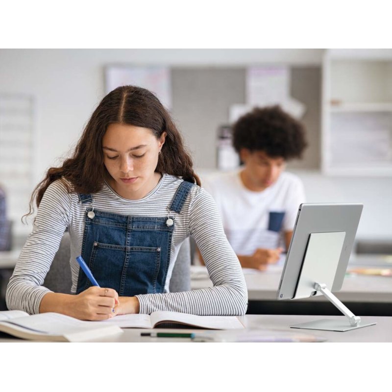 DURABLE Support pour tablette RISE, argent métallisé