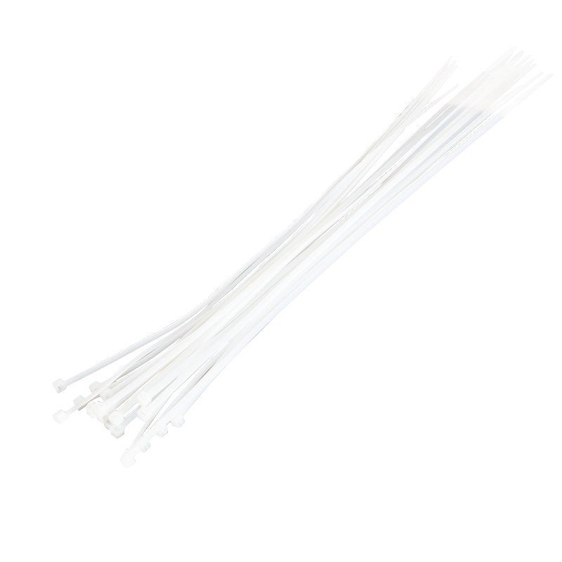 LogiLink KAB0041 cable tie Nylon Transparent 100 pc(s)