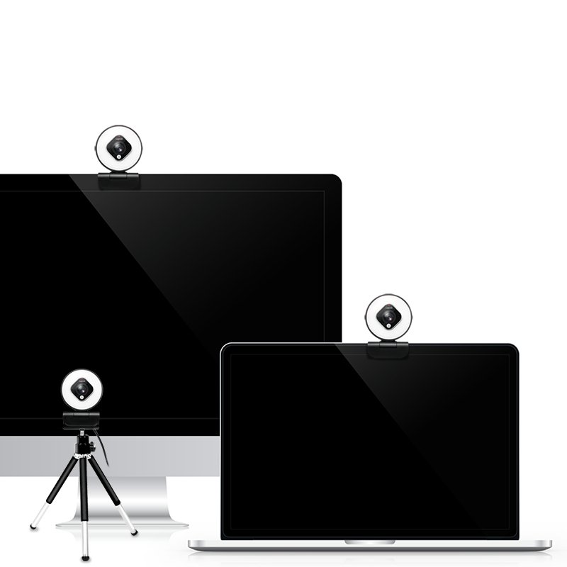 LogiLink Webcam USB Full HD à deux micros, noir