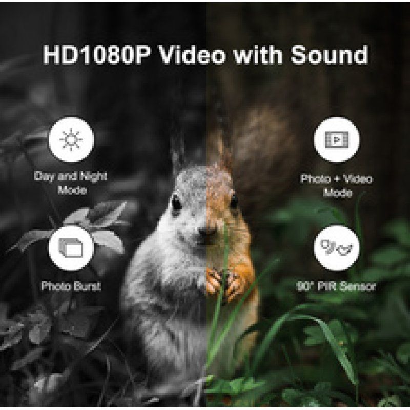 LogiLink Caméra pour la faune avec vue nocturne