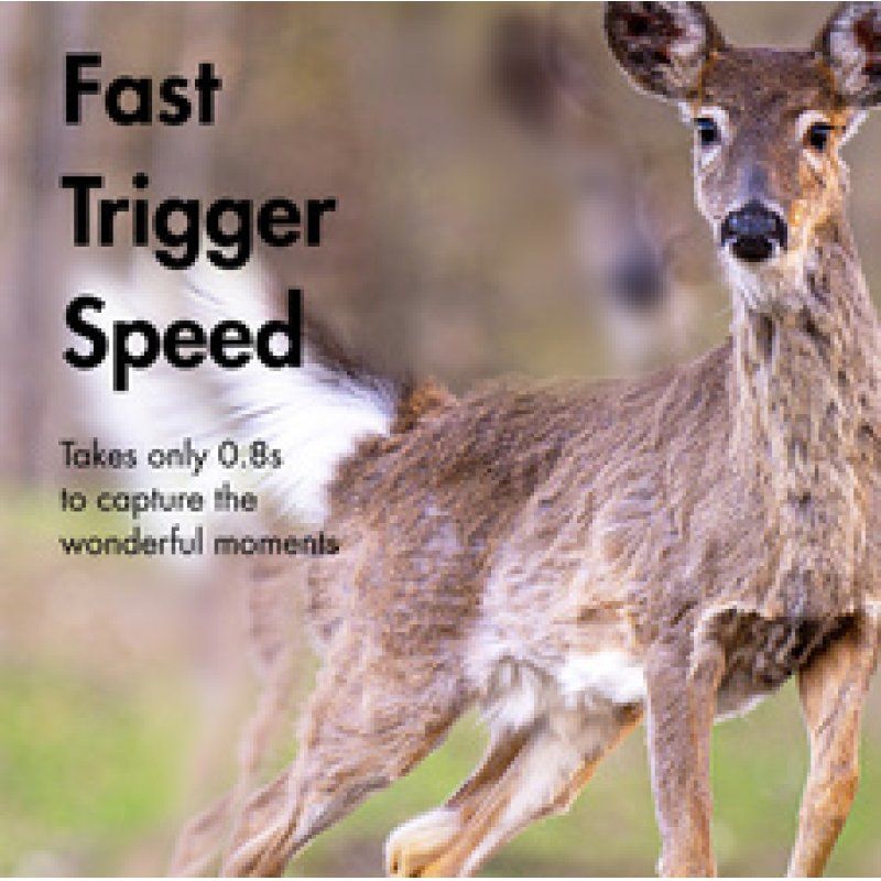 LogiLink Caméra pour la faune avec vue nocturne