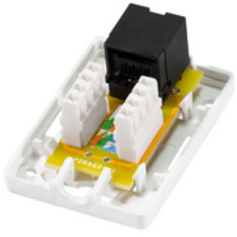 LogiLink Prise RJ45 cat. 6A avec boîtier en saillie, 2x RJ45