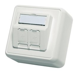 Telegärtner AMJ boîtier mural, 80 x 80 mm, blanc alpin