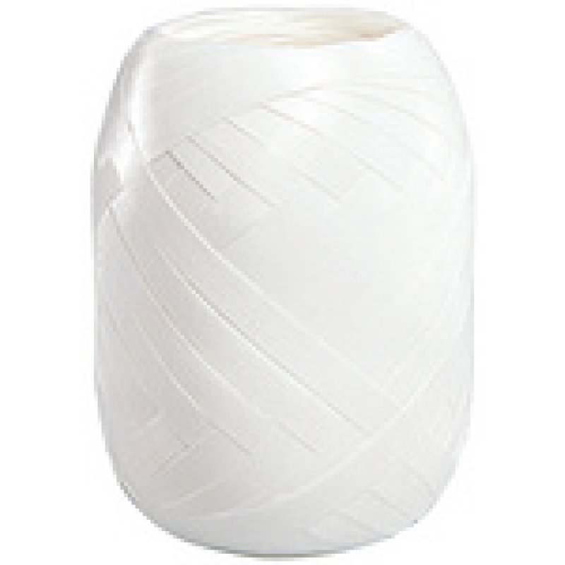 SUSY CARD Bolduc en pelote, lisse, 5 mm x 20 m, vert foncé