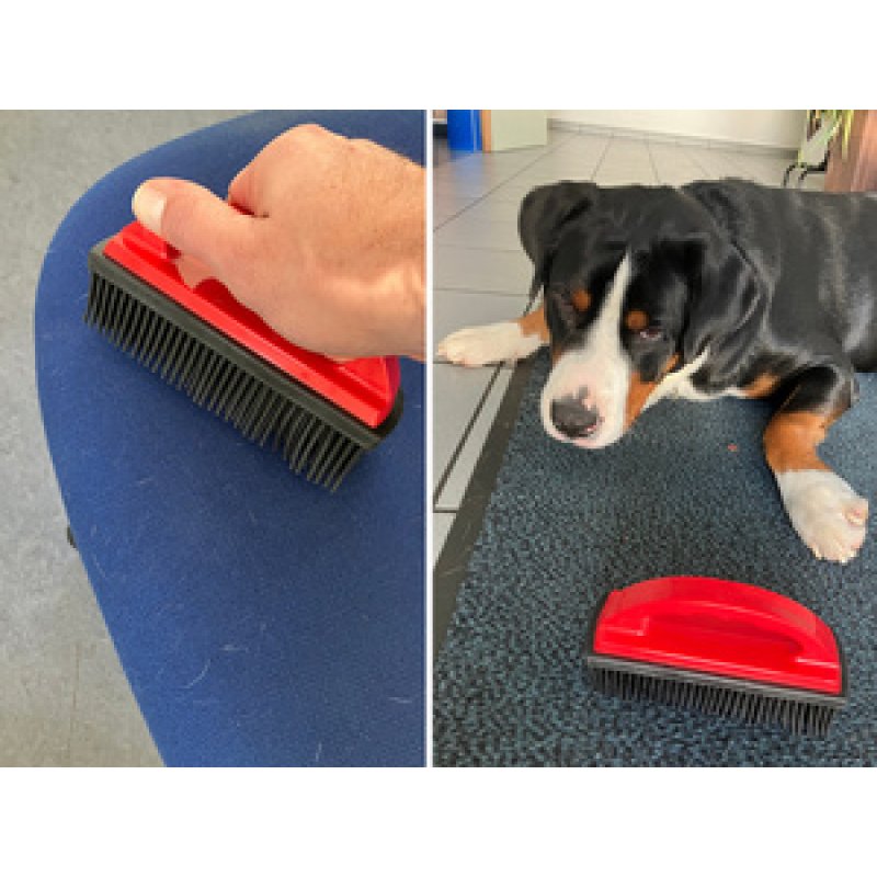 IWH Brosse en caoutchouc pour poils d'animaux, rouge