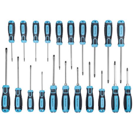 QUANTOOL Jeu de tournevis, 21 pièces, noir/bleu