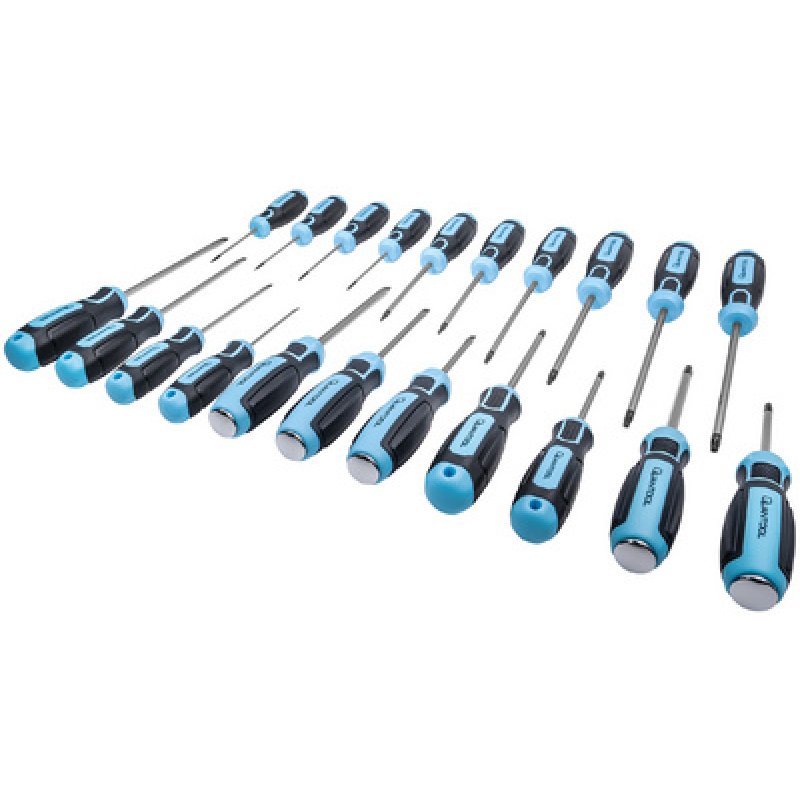 QUANTOOL Jeu de tournevis, 21 pièces, noir/bleu