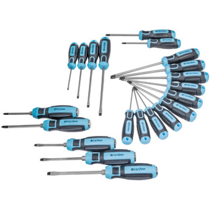 QUANTOOL Jeu de tournevis, 21 pièces, noir/bleu