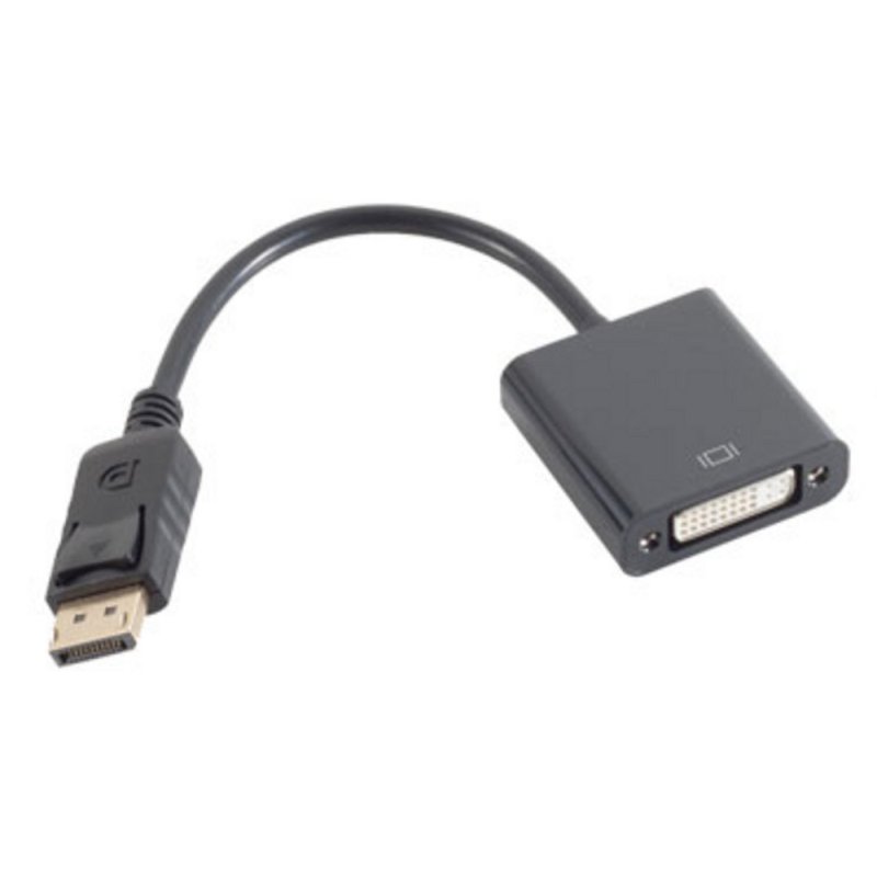 shiverpeaks BASIC-S Adaptateur, DisplayPort - DVI 24 5