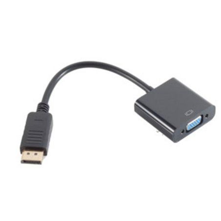 shiverpeaks BASIC-S Adaptateur, DisplayPort - VGA
