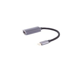 shiverpeaks Adaptateur BASIC-S, USB-C mâle - HDMI-A femelle
