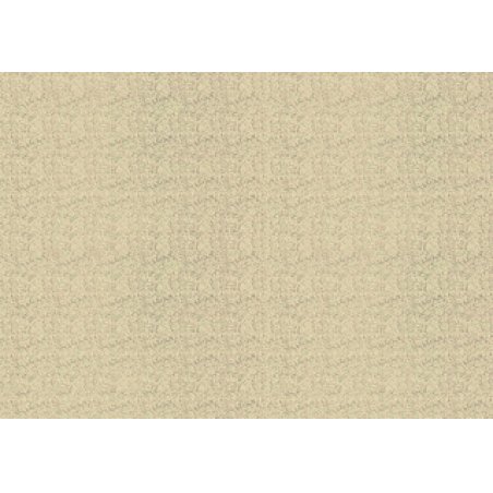 SUSY CARD Papier cadeau "Holo or", sur rouleau