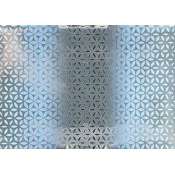 SUSY CARD Papier cadeau "Blooming rosé", sur rouleau