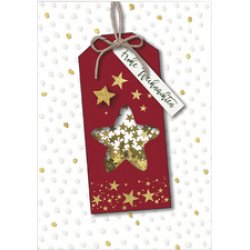 CACTUS Weihnachtskarte "Sterne"