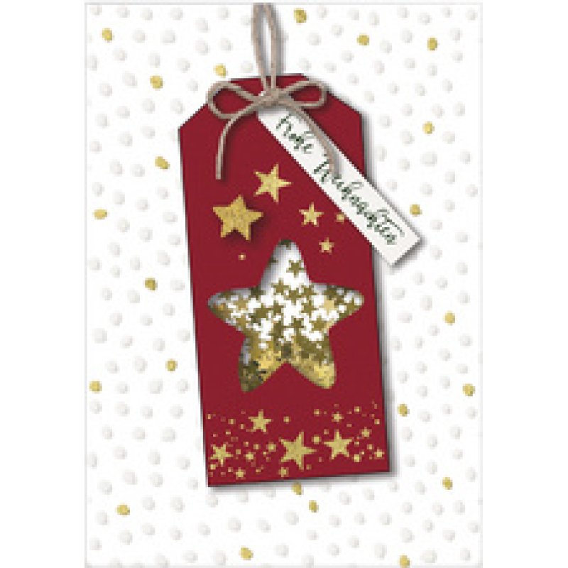 CACTUS Weihnachtskarte "Sterne"