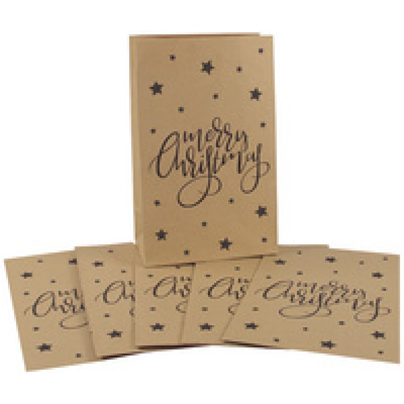 CACTUS Pochette cadeau de Noël "Étoiles", (L)100 x (H)160 mm