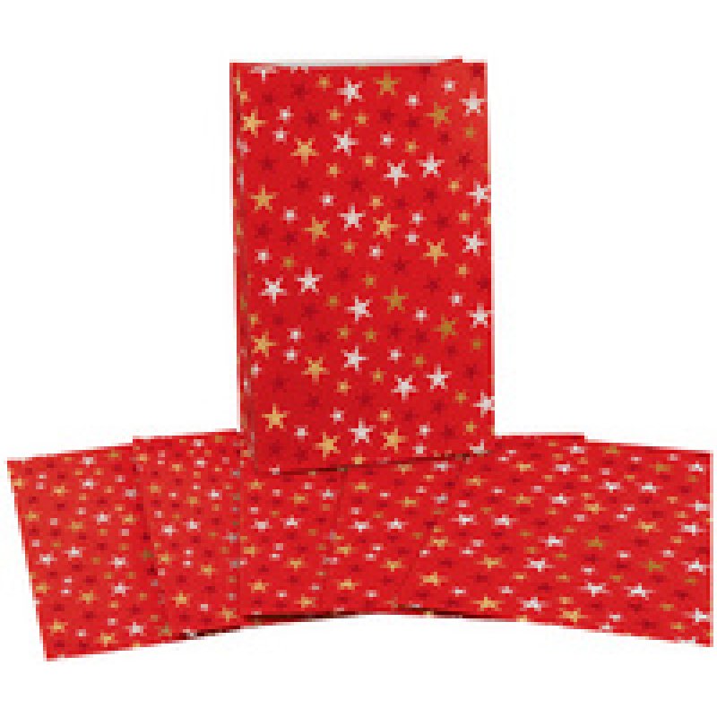 CACTUS Pochette cadeau de Noël "X-mas", (L)100 x (H)160 mm