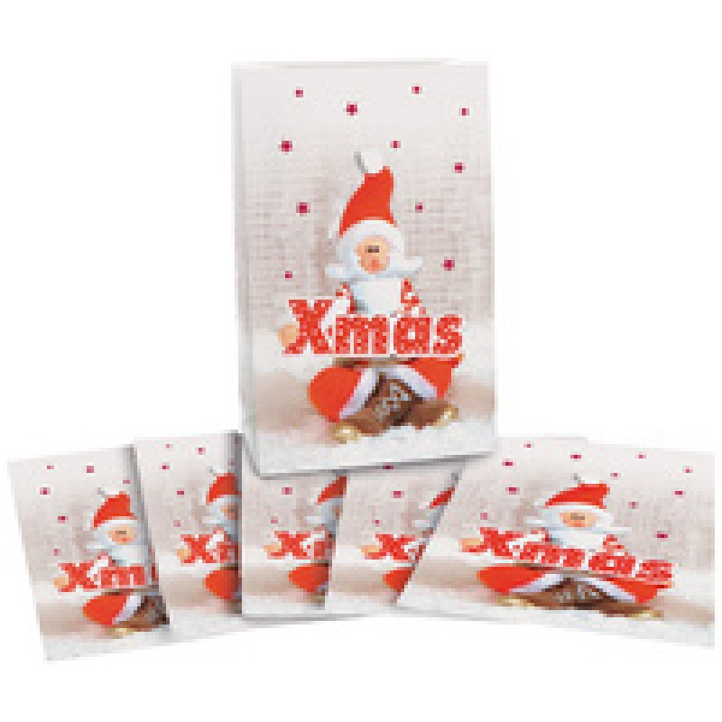 CACTUS Pochette cadeau de Noël "X-mas", (L)100 x (H)160 mm