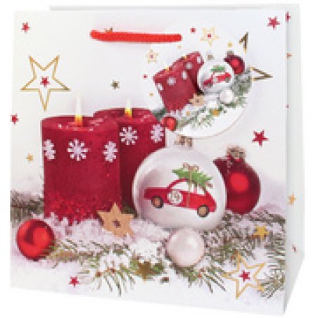 CACTUS Sac cadeau de Noël "Petite voiture", petit